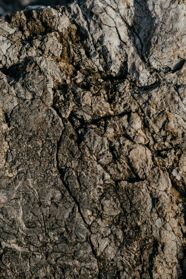 Silicium